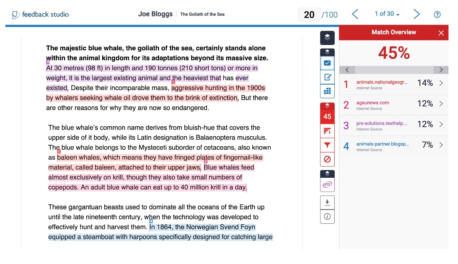 How Turnitin detection works
